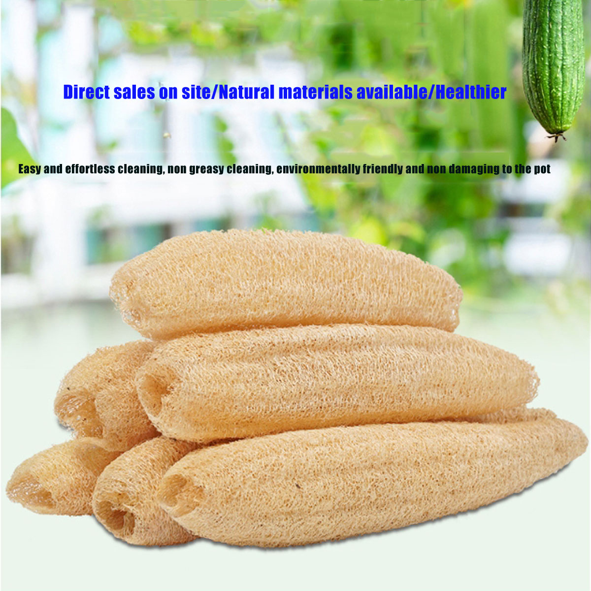 1 adet doğal lif kabağı sünger - Body Loofah Natural incelemesi ve fiyatı