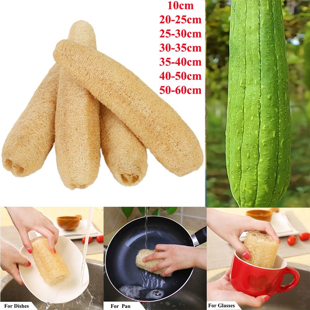 Doğal Lif Kabağı Süngeri Uzun  - Body Loofah Natural incelemesi ve fiyatı