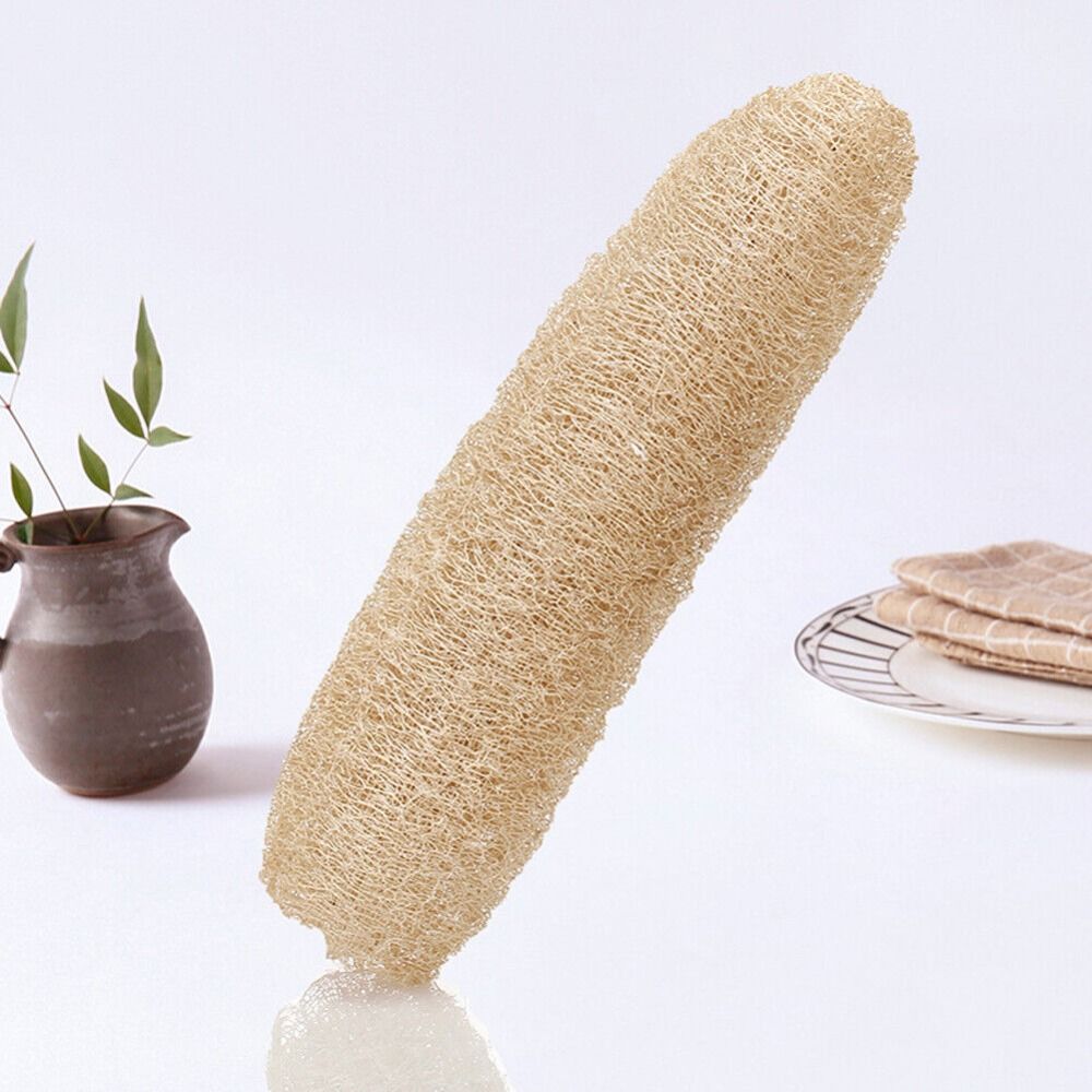 Doğal Lif Kabağı Süngeri Uzun  - Body Loofah Natural incelemesi ve fiyatı