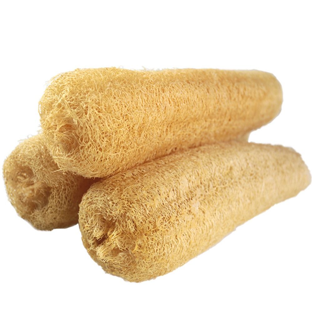 Doğal Lif Kabağı Süngeri Uzun  - Body Loofah Natural incelemesi ve fiyatı