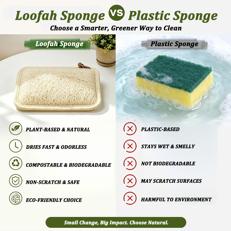 Doğal Lif Sünger Fırça, Yenide - Body Loofah Natural incelemesi ve fiyatı